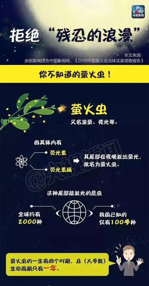 你买来的这个"浪漫",也许是一场屠杀……_萤火虫