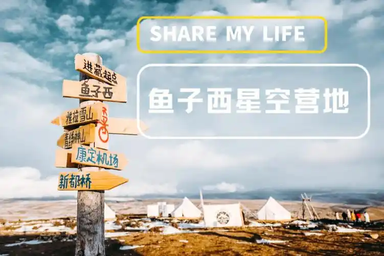 元旦去哪里鱼子西星空营地