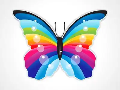 闪亮的蝴蝶抽象多彩闪亮蝴蝶照片