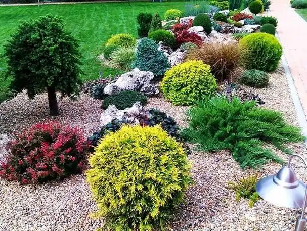 7款花境设计案例,植物这样配置,季相分明,色彩缤纷!附20图