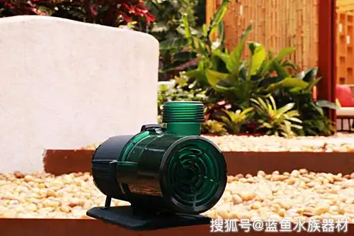 我的鱼缸水泵不工作了怎么办