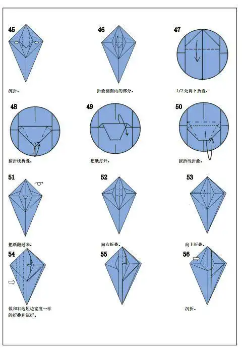折纸复杂大王乌贼全部图解