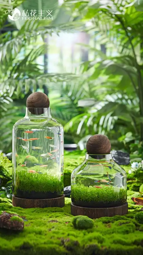 网红生态水草缸 生态鱼瓶玻璃鱼缸微景观鱼虾水草自循环办公室迷你
