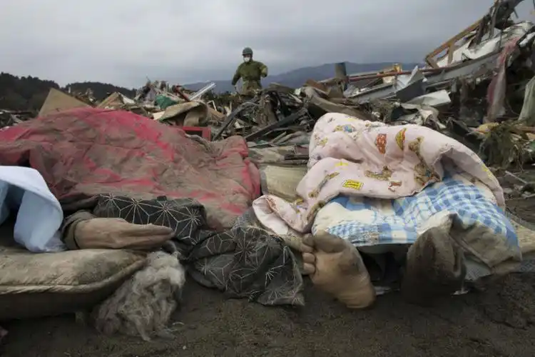 悲剧:实拍日本核泄漏威胁下的惨状 - 色图腾博客杂志 - 色图腾博客