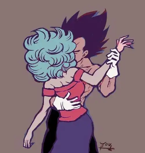 《龙珠》贝吉塔与布玛的幸福生活插画