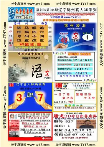 天宇 鬼六(3d高级报)