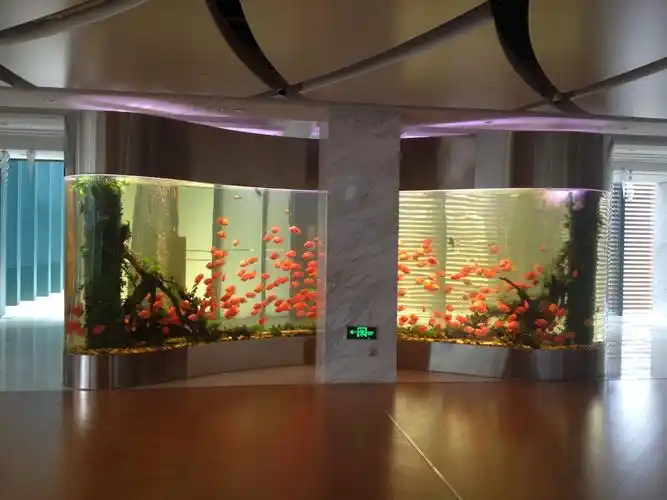 亚克力水族鱼缸