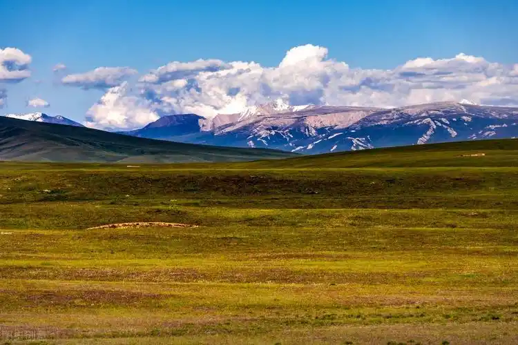 巴音布鲁克草原