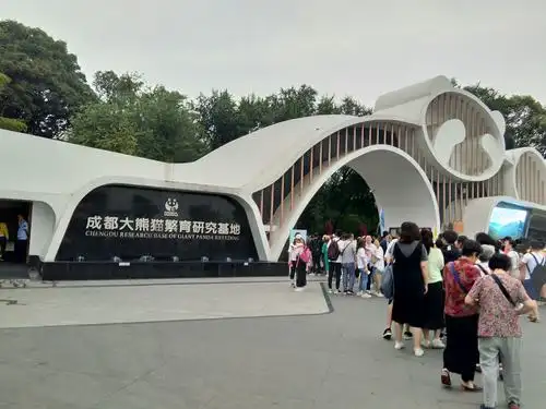 今参观的是大熊猫繁育研究基地.