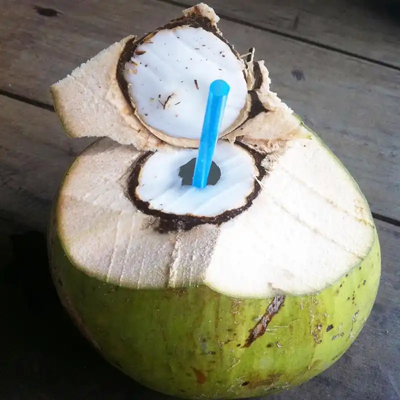 海南椰子多少钱一个,都有哪些吃法?