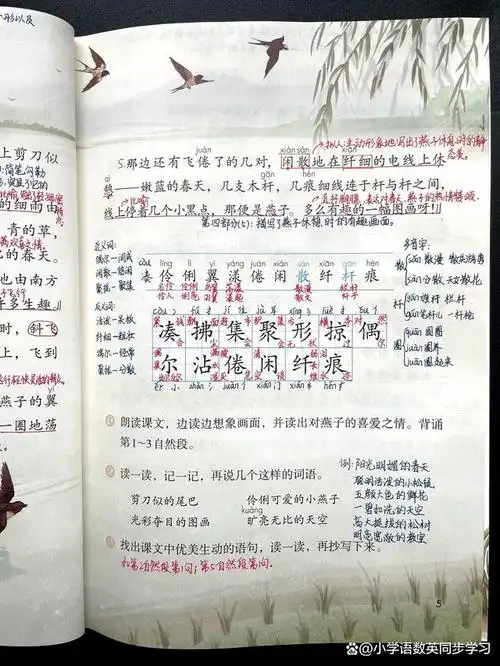 小学语文三年级下册第2课燕子教师笔记