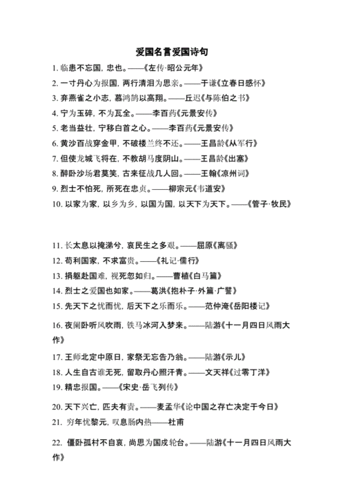 爱国名言爱国诗句.docx 6页