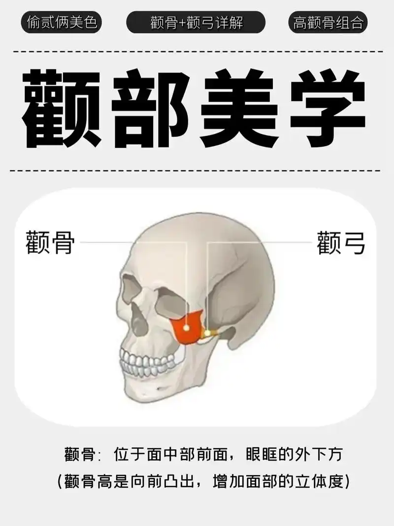 你的高颧骨vs明星的高颧骨,好像不一样～有多少姐妹分不清颧骨 - 抖音