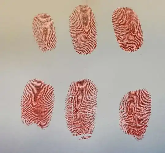 锦山第一幼儿园大班科学活动《独一无二的指纹》