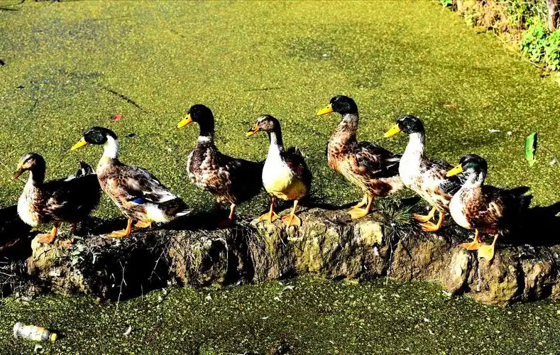 第一次随摄影团赴云南,张张图片典藏唯美,在镜头的