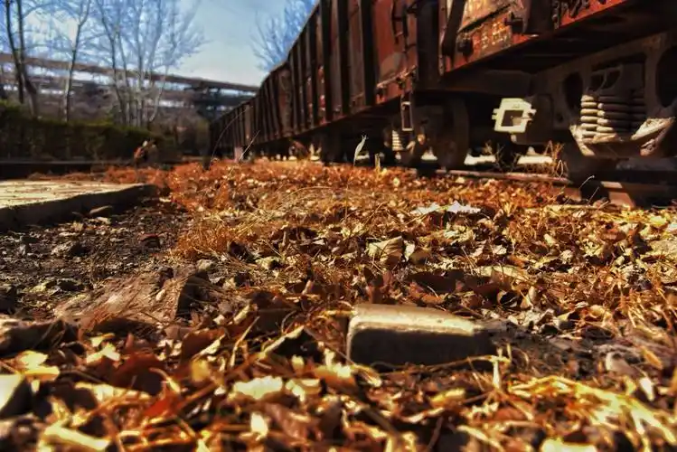 被废弃的铁轨,被遗忘的列车,被抛弃的落叶