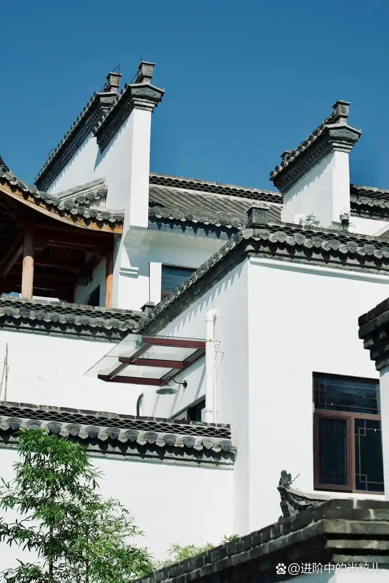 徽派建筑|白墙青瓦 青砖伴瓦漆,白马踏新泥.