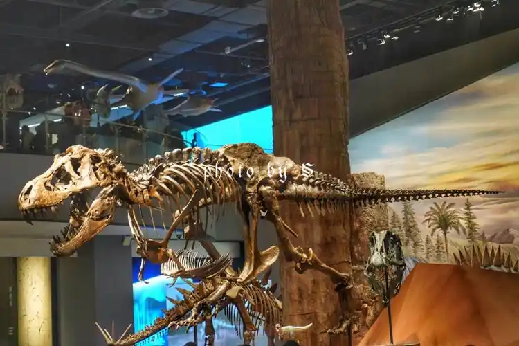 【记36】亚洲最大的单体建筑自然博物馆-爱玩乐-大众点评社区