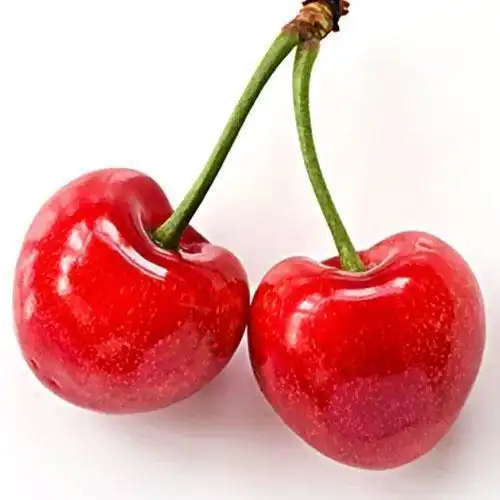 樱桃苗修剪的主要原则