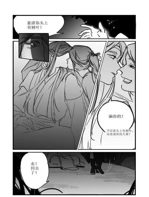 魔道祖师:忘羡婚后夜猎