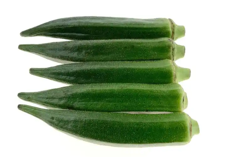 蔬菜,黄葵,秋黄葵,咖啡黄奎,美食世界蔬菜王咖啡黄