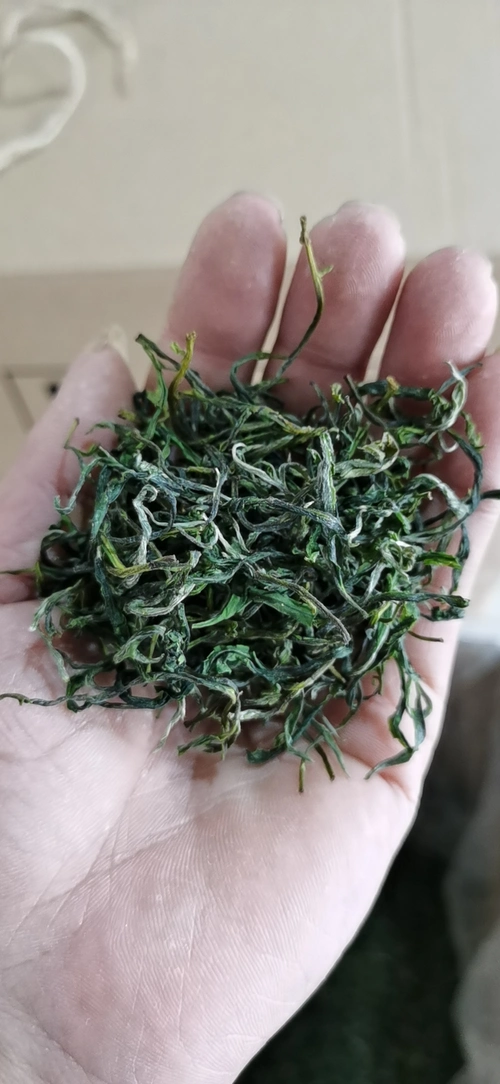 洽舍乡龙一湾茶叶黄山野茶500g