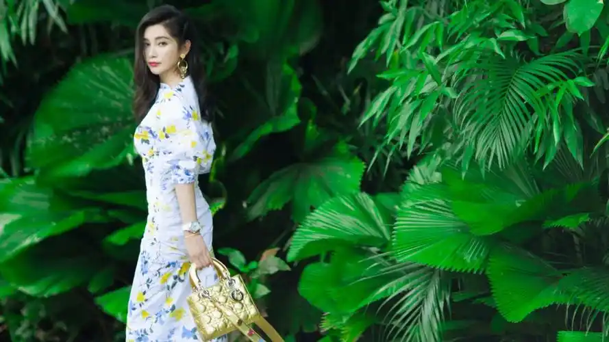 李冰冰最新唯美写真图片桌面壁纸高清大图预览1920×1200_大陆明星