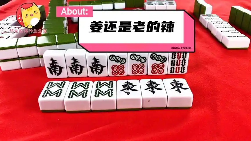 混一色牌型让人看着揪心,可到最后做成这样,虽然没胡但不后悔