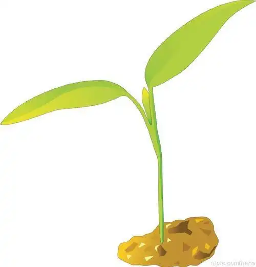 秧苗简笔画 秧苗简笔画图片大全