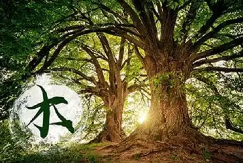 木命人五行缺什么怎么算木命人五行缺什么