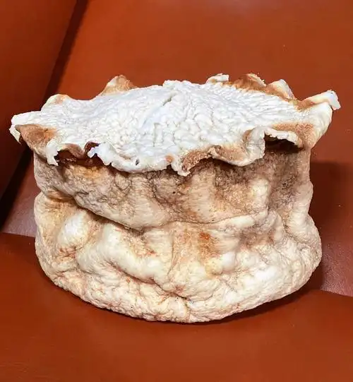 【千年精品老太岁】太岁肉灵芝11斤