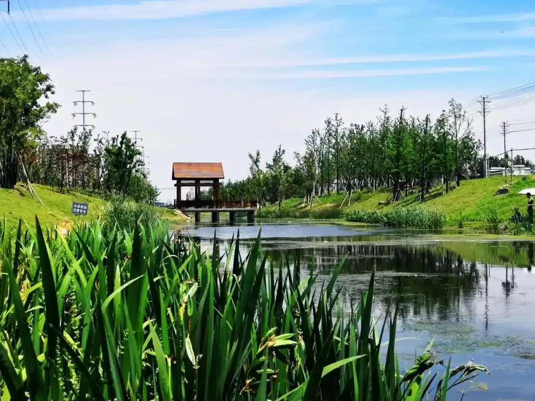 大美临泉你真的变了