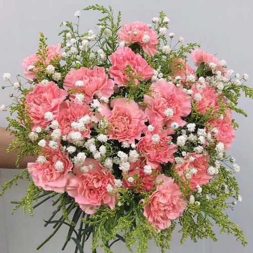 云南昆明基地直发粉色鲜花教师节康乃馨混搭速递家用直批插花直供