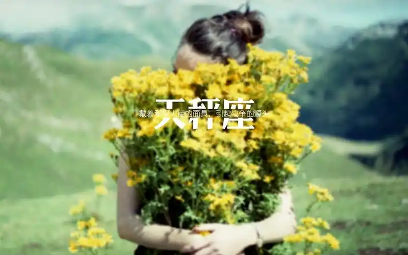 天秤座创意设计桌面壁纸文字图片创意设计天秤座唯美图片