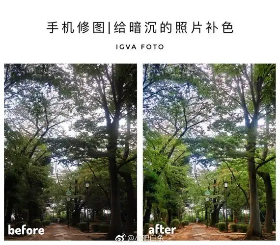 手机修图给暗沉的照片补色