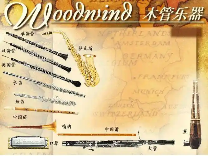 西方管弦乐器