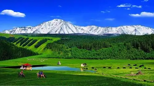 张掖夜市联袂康乐草原赠送门票啦