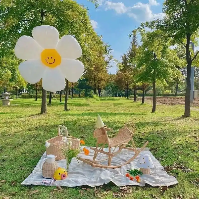 小雏菊花朵气球韩ins时尚风拍照道具儿童派对装饰小清新铝膜气 - 抖音
