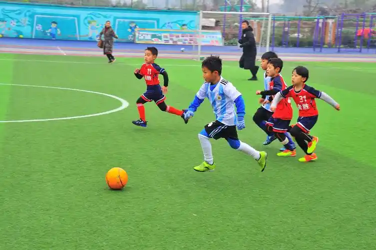 实验小学黎明湖校区一年级足球赛,115班勇夺男女组双冠军