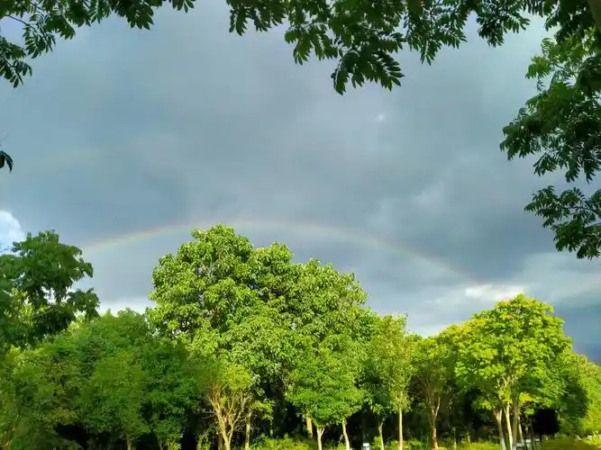 雨过天晴彩虹起