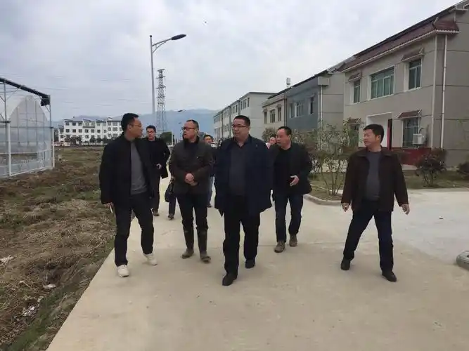 江存富到白泽湖乡督查指导美丽乡村建设工作