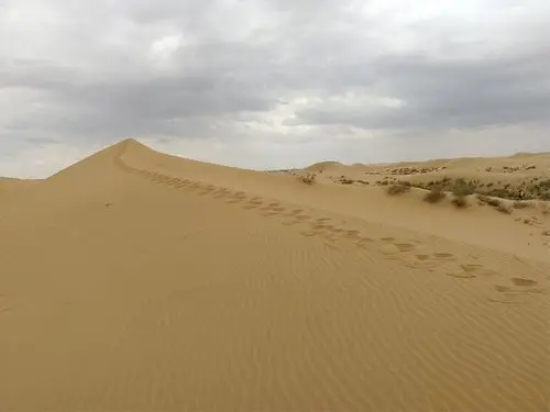 万里边关,大漠荒野,黄沙一片,狼烟不绝!