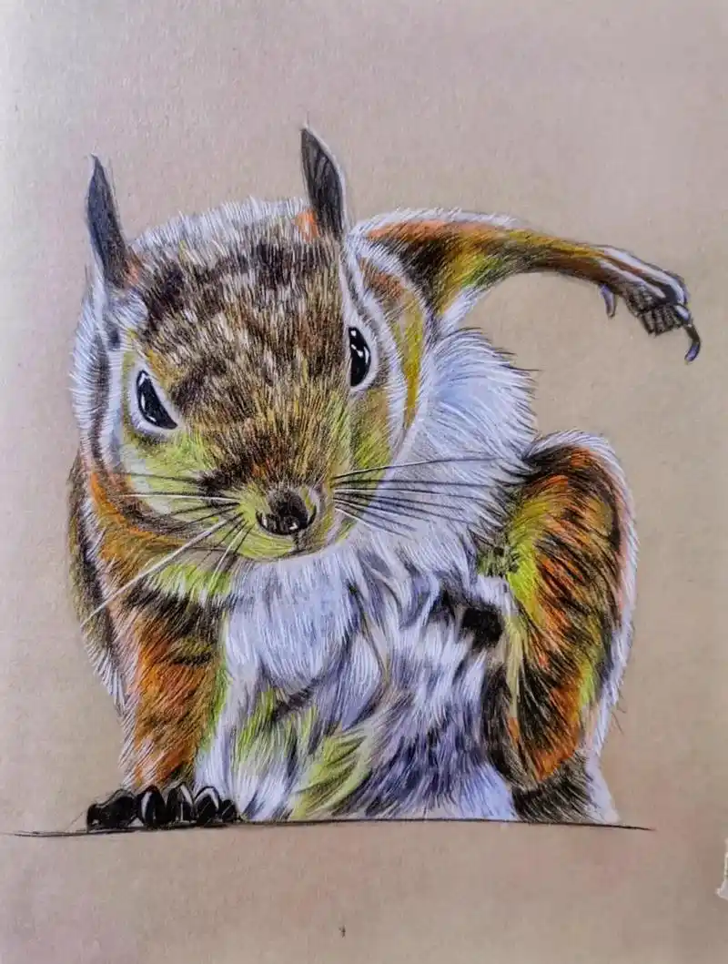 今天我又来分享啦,一只松鼠超人彩铅手绘附步骤#画画 #萌宠  - 抖音