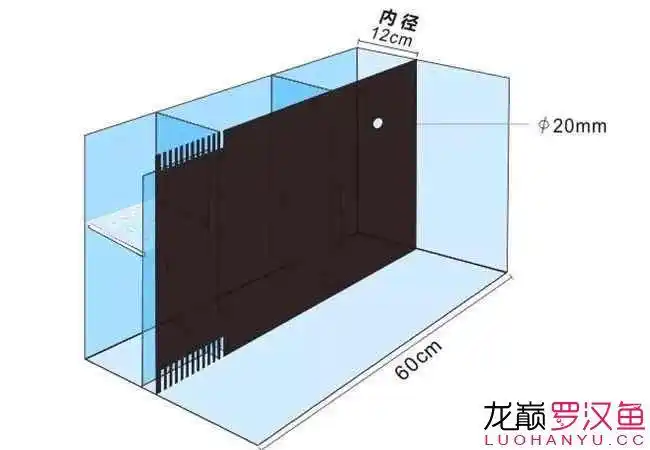 60背滤缸想在第一格做个干湿分离可行吗