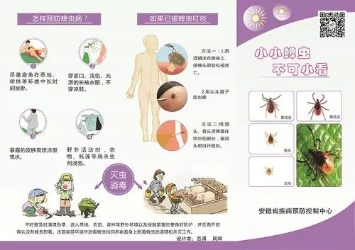发热伴血小板减少综合征蜱虫病预防知识