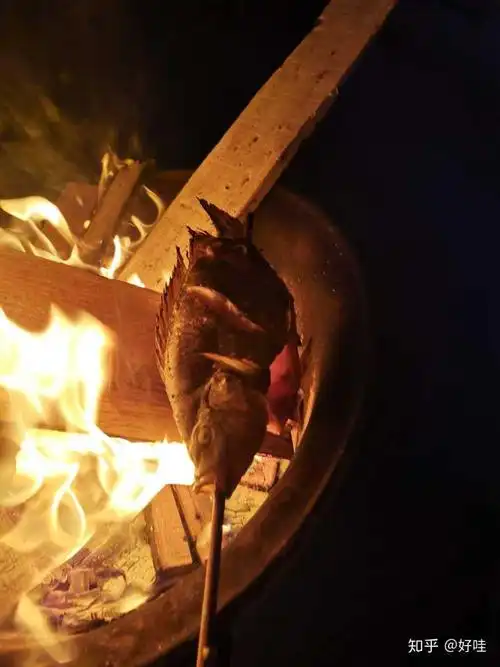 晚上在海边生火烤鱼