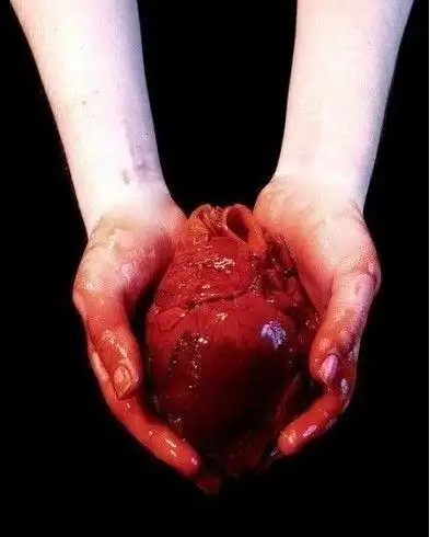 把心掏出来的图片