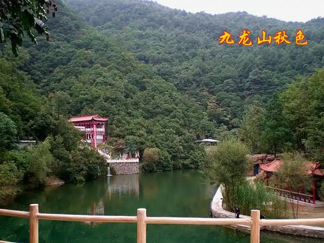 九龙山(景点)九龙山风景区位于河南省卢氏县双槐树乡境内,地处伏牛山