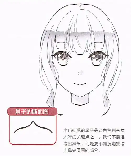 漫画鼻子怎么画简易讲解漫画男女鼻子的画法差异