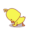 跳舞小黄鸭动态表情包